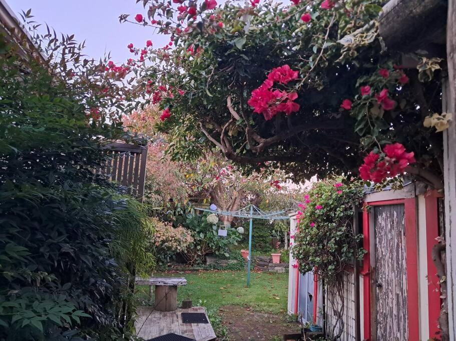 Secret Cottage Waitara Exteriör bild