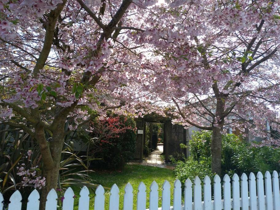 Secret Cottage Waitara Exteriör bild